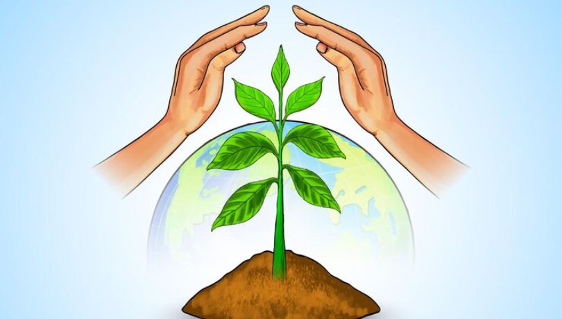 plant tree world earth day